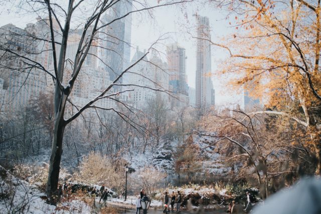 Central park vinter